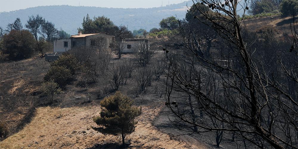 Γεράνεια Όρη: Η μεγαλύτερη δασική πυρκαγιά της δεκαετίας [βίντεο]