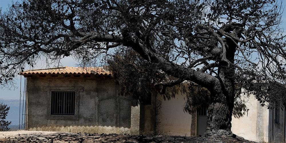 Γεράνεια Όρη: Αυτά είναι τα έξι μέτρα στήριξης των πληγέντων