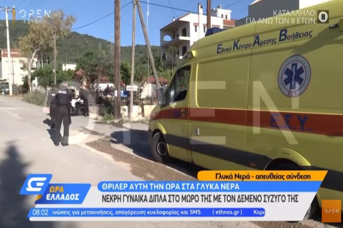 ΣΟΚ στα Γλυκά Νερά: Έπνιξαν με μαξιλάρι 20χρονη δίπλα στο μωρό της – Όλα τα στοιχεία για την φονική ληστεία