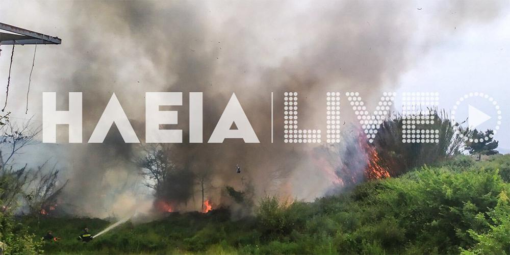 Υπό μερικό έλεγχο η φωτιά στην εθνική οδό Πύργου - Αρχαίας Ολυμπίας