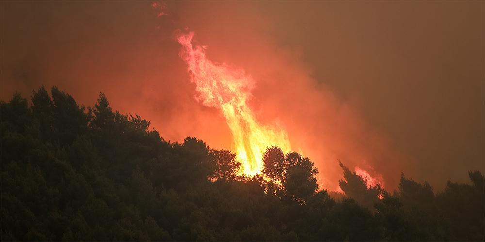 Φωτιά στην Κορινθία: Οι συνθήκες που δημιούργησαν «ακραία φαινόμενα»