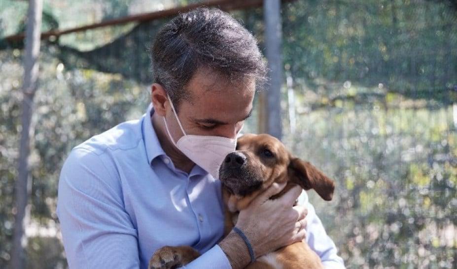 Νομοσχέδιο για ζώα συντροφιάς- Μητσοτάκης: «Γενναία βήματα στην προστασία των μικρών μας φίλων»
