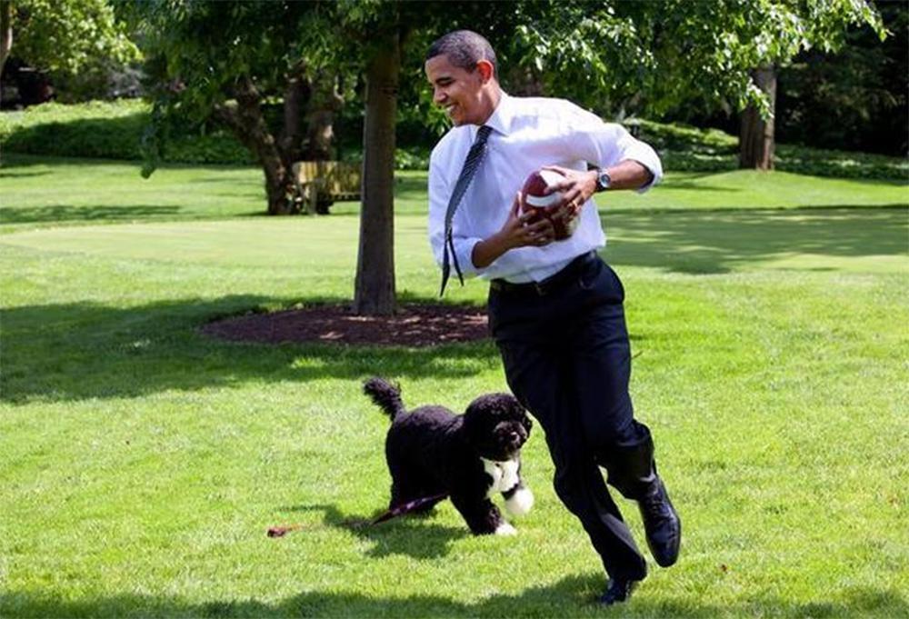 Πέθανε ο Μπο, ο σκύλος του Μπαράκ Ομπάμα και σταρ του Λευκού Οίκου