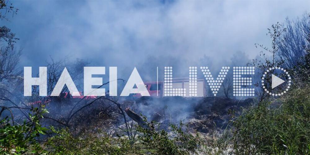 Πυρκαγιά σε δασική έκταση στον Πύργο Ηλείας [εικόνες]