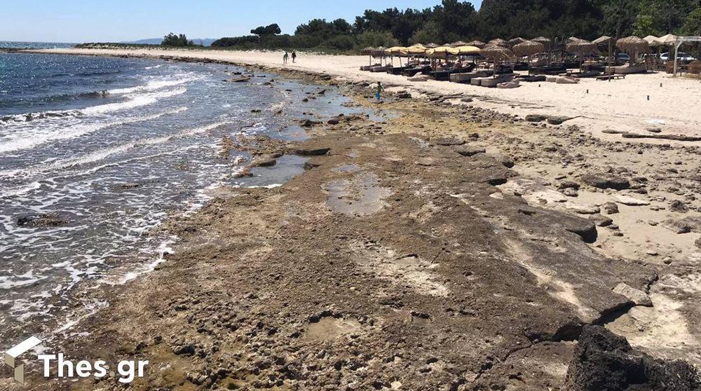 Πήγαν για μπάνιο στην Χαλκιδική και… έψαχναν τη θάλασσα
