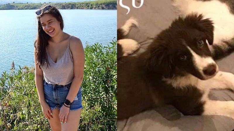 Γλυκά Νερά: Η συγκινητική ιστορία του σκύλου που δολοφονήθηκε από τον πιλότο