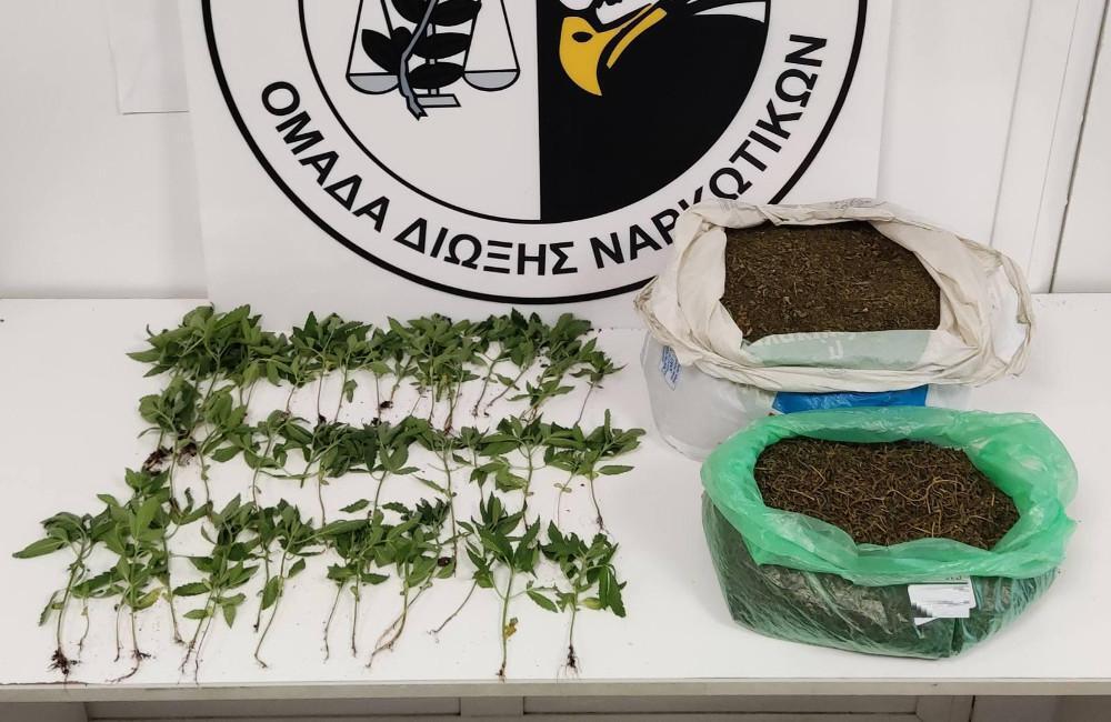 Ηγουμενίτσα: «Μπλόκο» σε 47 κιλά κάνναβης με προορισμό την Αττική – Συνέλαβαν δύο Ελληνίδες