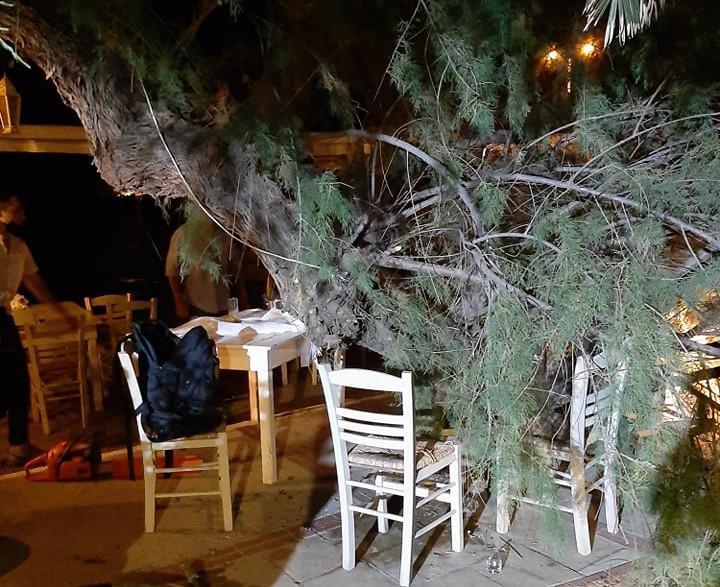 Μυτιλήνη: Κλαδί έπεσε πάνω στην Αντιδήμαρχο την ώρα που έτρωγε σε ταβέρνα, τραυματίζοντάς την [εικόνες]