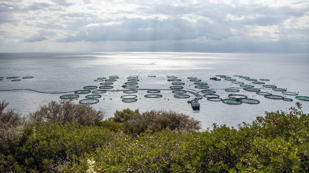 ΕΛΟΠΥ: Δύο νέα ερευνητικά έργα για το περιβάλλον