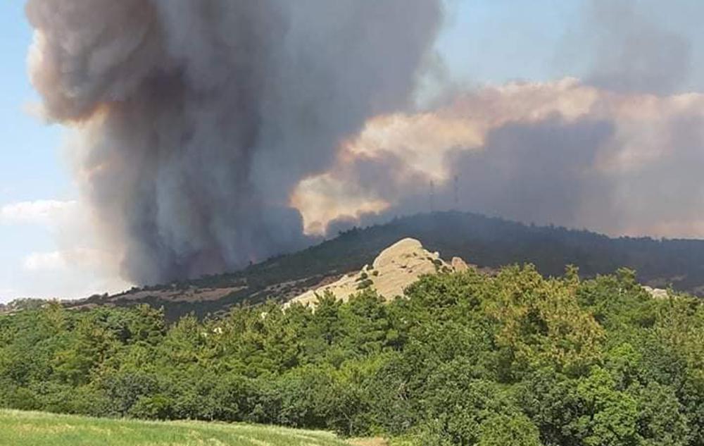 Αντιπεριφερειάρχης Έβρου στο eleftherostypos.gr: Ανεξέλεγκτο το μέτωπο
