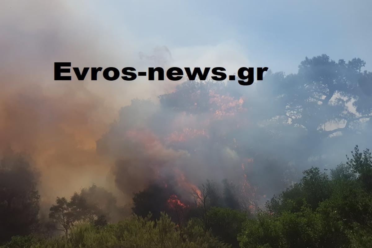 Μεγάλη φωτιά στον Έβρο – Εκκενώνεται η Λευκίμμη, συναγερμός στην Πυροσβεστική