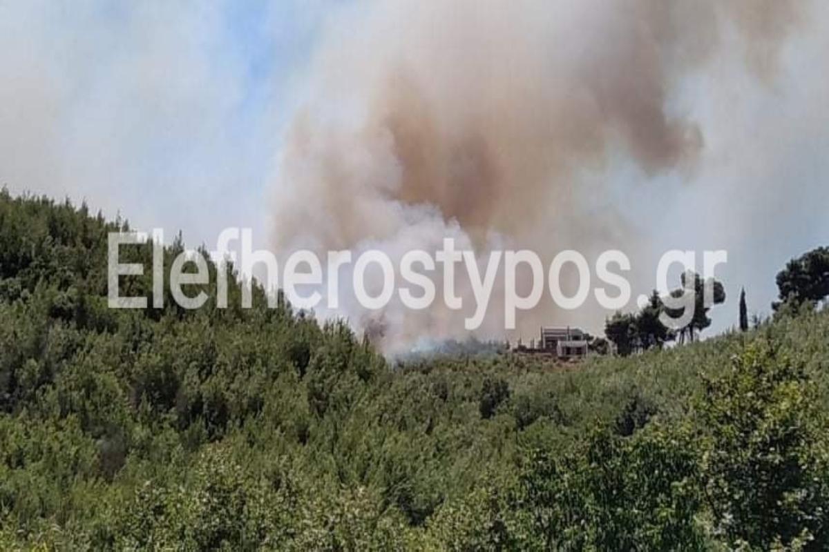 LIVE: Μεγάλες φωτιές σε Βαρνάβα και Ελευσίνα – Πνέουν ισχυροί άνεμοι, αποκλειστικές εικόνες [βίντεο]