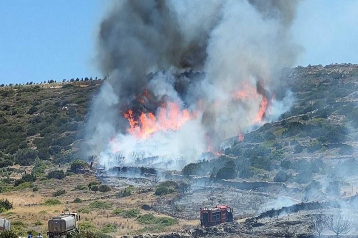 Πάρος: Η στιγμή που τα καναντέρ ρίχνονται στη μάχη – Εντυπωσιακά πλάνα [βίντεο]