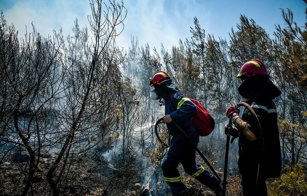 Μεσσηνία: Καλύτερη εικόνα παρουσιάζουν οι φωτιές σε Βασιλίτσι