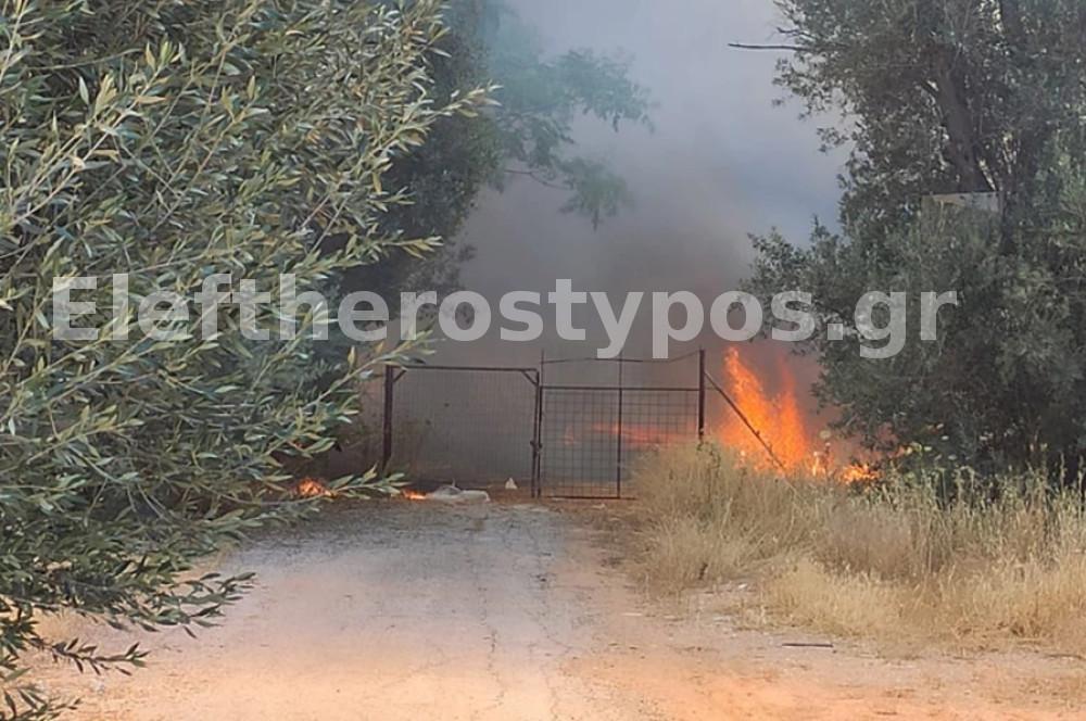 Φωτιά στην Κηφισιά: Στις αυλές των σπιτιών οι φλόγες [εικόνες]