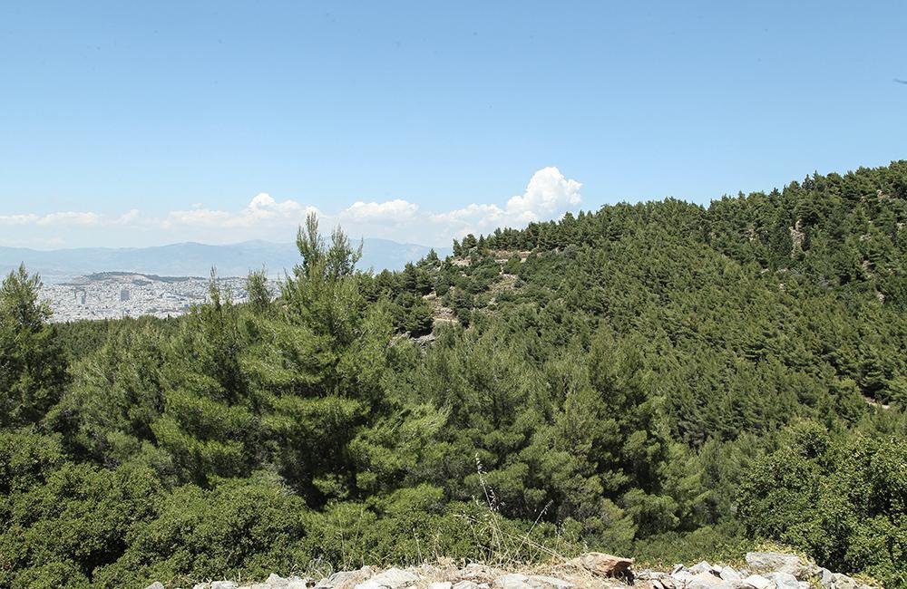 ΥΠΕΝ: Ισχυρό πλέγμα μέτρων προστασίας για τον Υμηττό