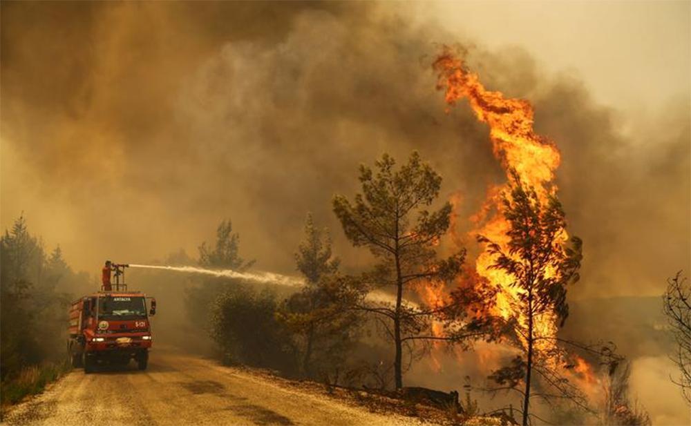 Τουρκία: Έξι οι νεκροί από τις πυρκαγιές - Εκκενώθηκαν σπίτια και ξενοδοχεία στο Μπόντρουμ