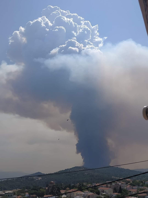 Φωτιά στα Βίλια: Ακραία συμπεριφορά πυρός παρουσίασε η πυρκαγιά [εικόνες]