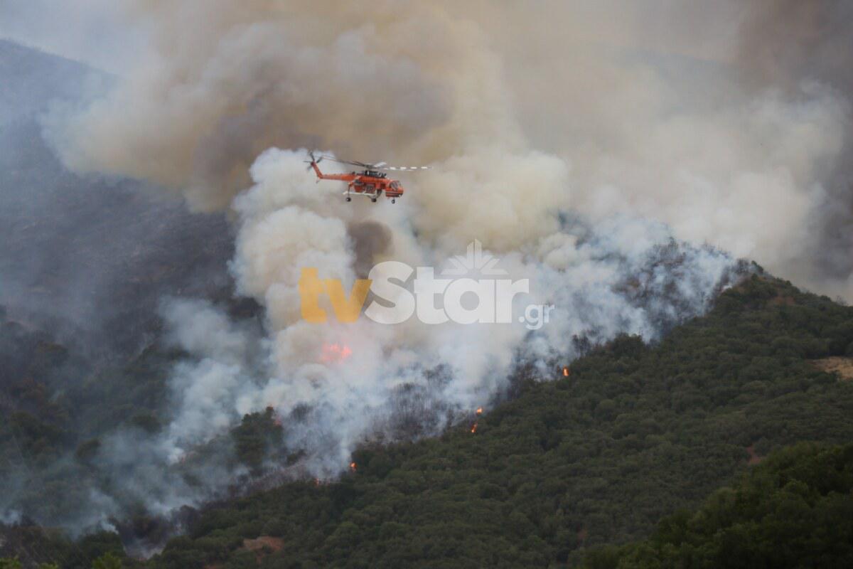 Μεγάλη φωτιά στη Φθιώτιδα – Εκκενώνεται το Λογγίτσι, ενισχύονται οι δυνάμεις της Πυροσβεστικής