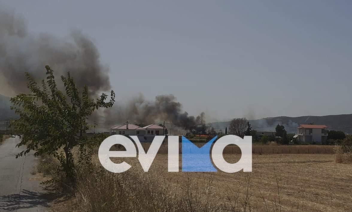 ΤΩΡΑ: Συναγερμός στην Εύβοια – Μεγάλη φωτιά στα Κριεζά
