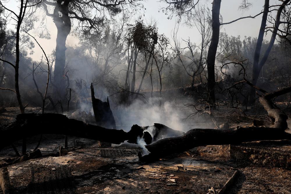 Φωτιά Αχαΐα μάχη με τις φλόγες