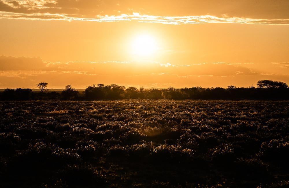 Συνολάκης: «Ο καύσωνας που ζούμε τώρα μπορεί να είναι κανονικότητα στο τέλος του αιώνα»