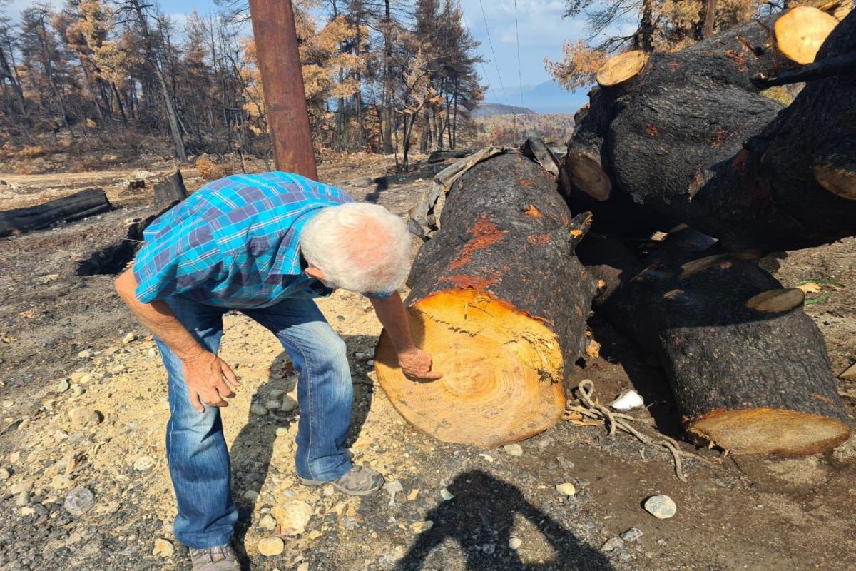 Φωτιές: Ξεκίνησαν τα αντιπλημμυρικά σε Εύβοια και Βαρυμπόμπη - Προχωρά η υλοτομία για καθαρισμό των καμένων