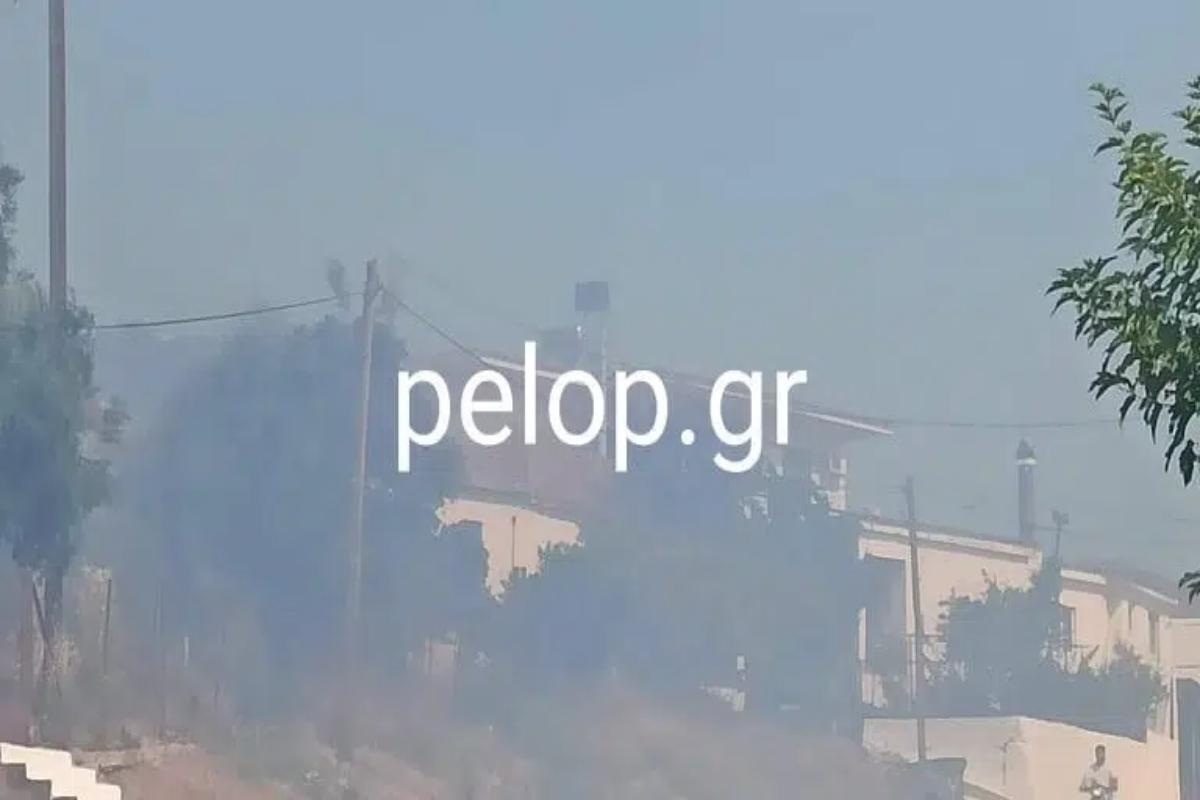 Φωτιά στην Αχαΐα: Συναγερμός στο χωριό Άρλα – Κοντά στο σχολείο οι φλόγες