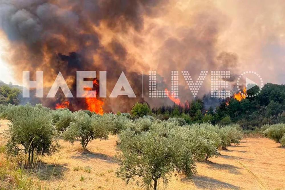 Φωτιά στην Ηλεία: Μάχη με τις αναζωπυρώσεις σε Βίλλια και Δούκας