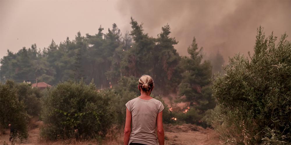 Εύβοια - ΔΕΔΔΗΕ: Αγώνας δρόμου για να φτάσει το ρεύμα στα χωριά