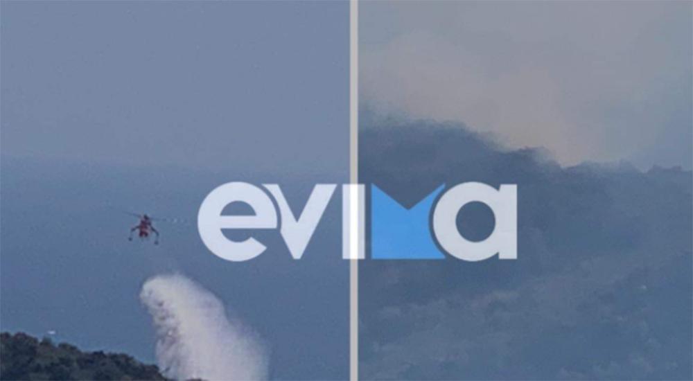 Φωτιά στις Πετριές Εύβοιας: Υπό έλεγχο το πύρινο μέτωπο