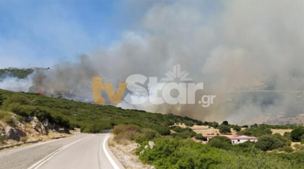 Φωτιά στη Νότια Εύβοια - Στην περιοχή πνέουν ισχυροί άνεμοι