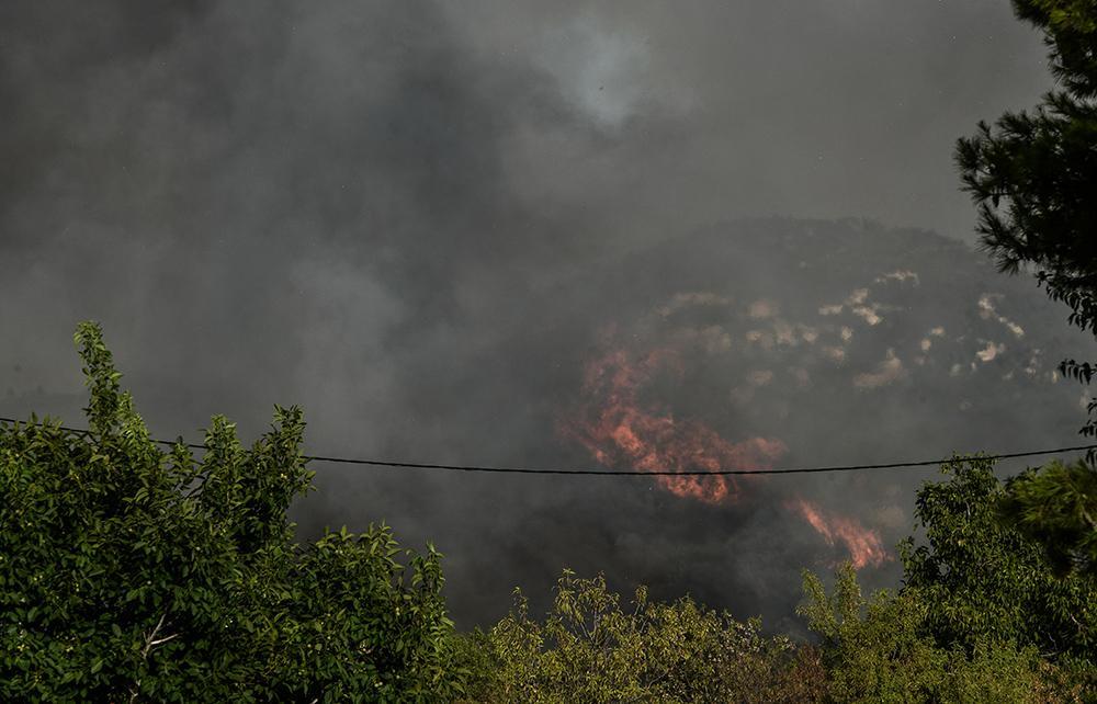Πύρινη πολιορκία στην Αττική: Εκκενώνονται Πολυδένδρι και Καπανδρίτι – Μήνυμα από το 112