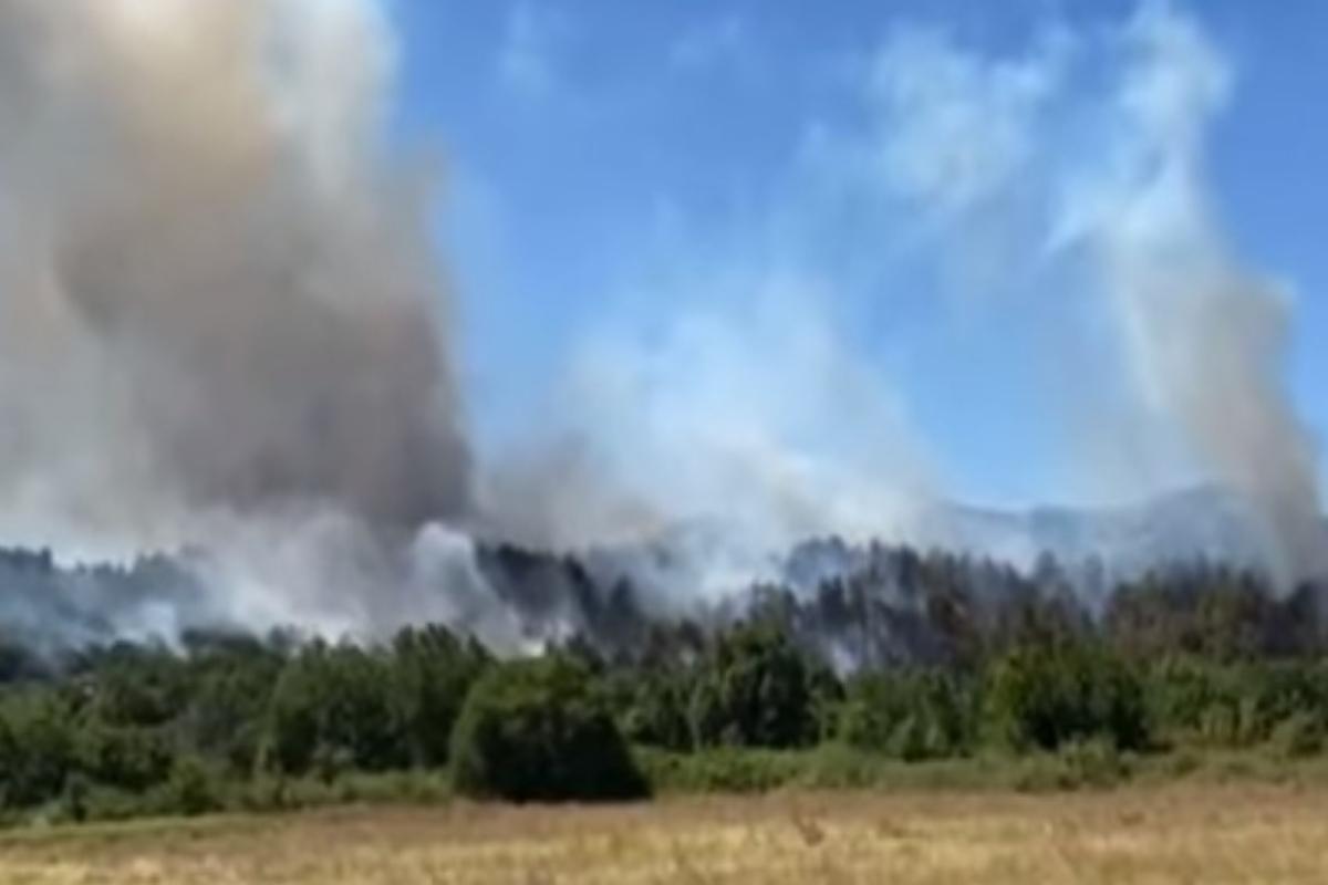Φωτιά στην Κομοτηνή – Συναγερμός στην Πυροσβεστική