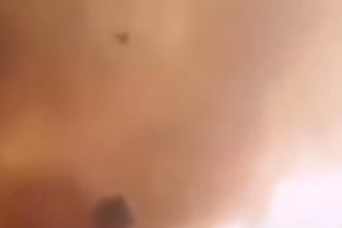 Φωτιά στα Βίλια: Συγκλονιστικό βίντεο – Στρόβιλος από φωτιά εκτοξεύει προς τους πυροσβέστες κορμό δέντρου