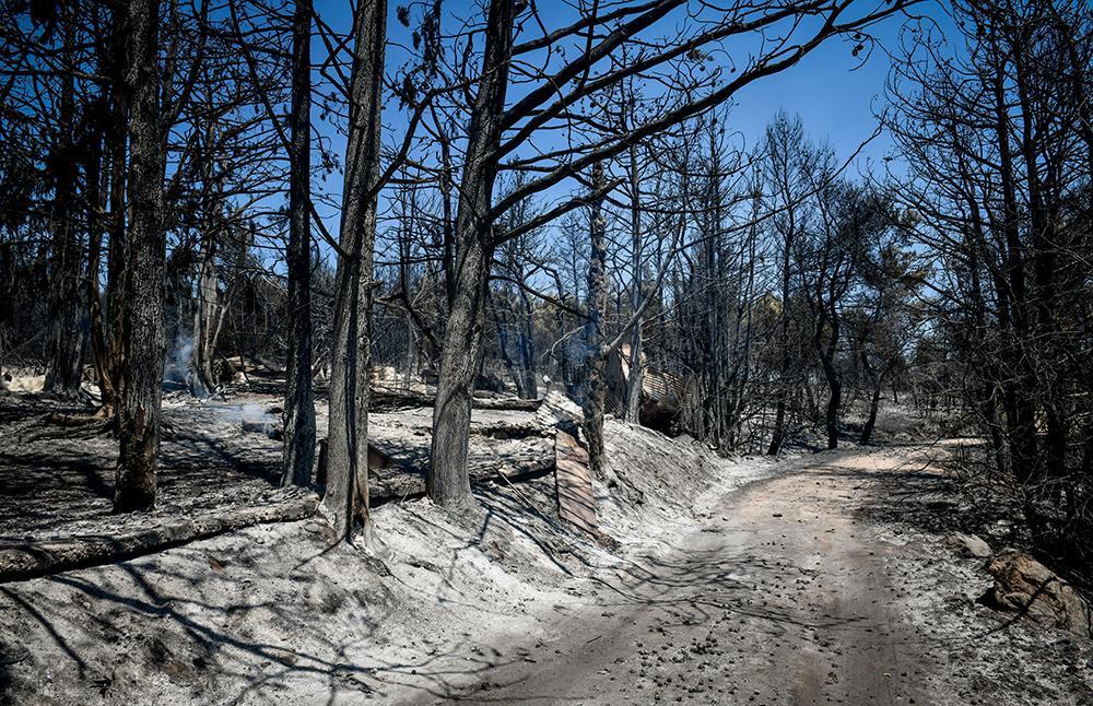 Φωτιά στην Αττική: Στη φυλακή οι τρεις κατηγορούμενοι για εμπρησμούς