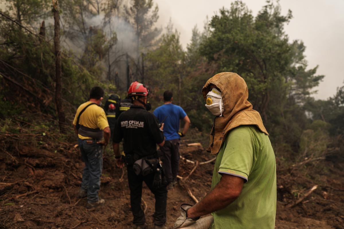 Φωτιά στην Εύβοια: Προσήχθη ύποπτος για εμπρησμό στο Ασμήνιο