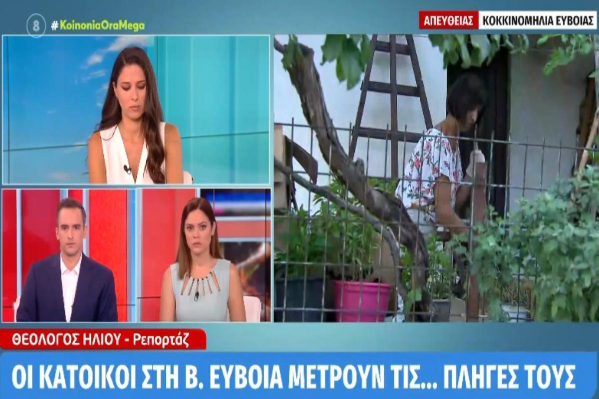 Φωτιά στην Εύβοια: «Φύγαμε νύχτα. Γυρίζουμε να μαζέψουμε τα κομμάτια μας» [βίντεο]