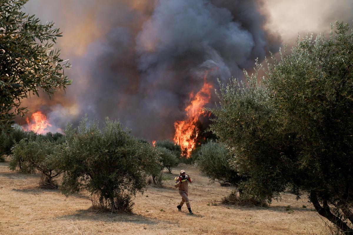 Φωτιά στην Ηλεία: Δραματική η κατάσταση στο πύρινο μέτωπο – Έχουν εκκενωθεί συνολικά 19 κοινότητες