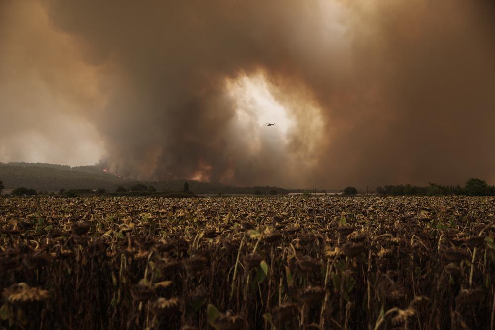 Φωτιά στην Εύβοια: Εκκενώνεται το Κέντρο Υγείας στο Μαντούδι