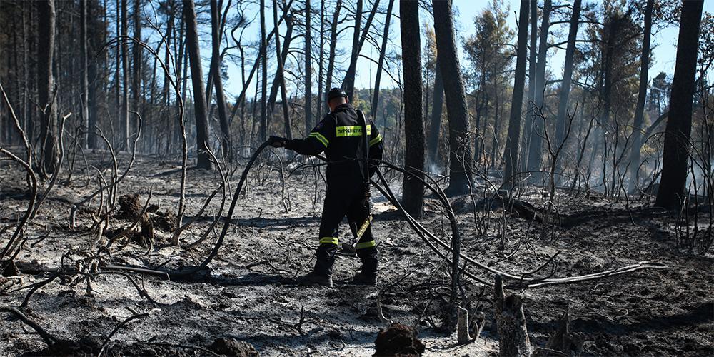 Κρανίου τόπος η Βόρεια Εύβοια: 500.000 στρέμματα καμένη γη