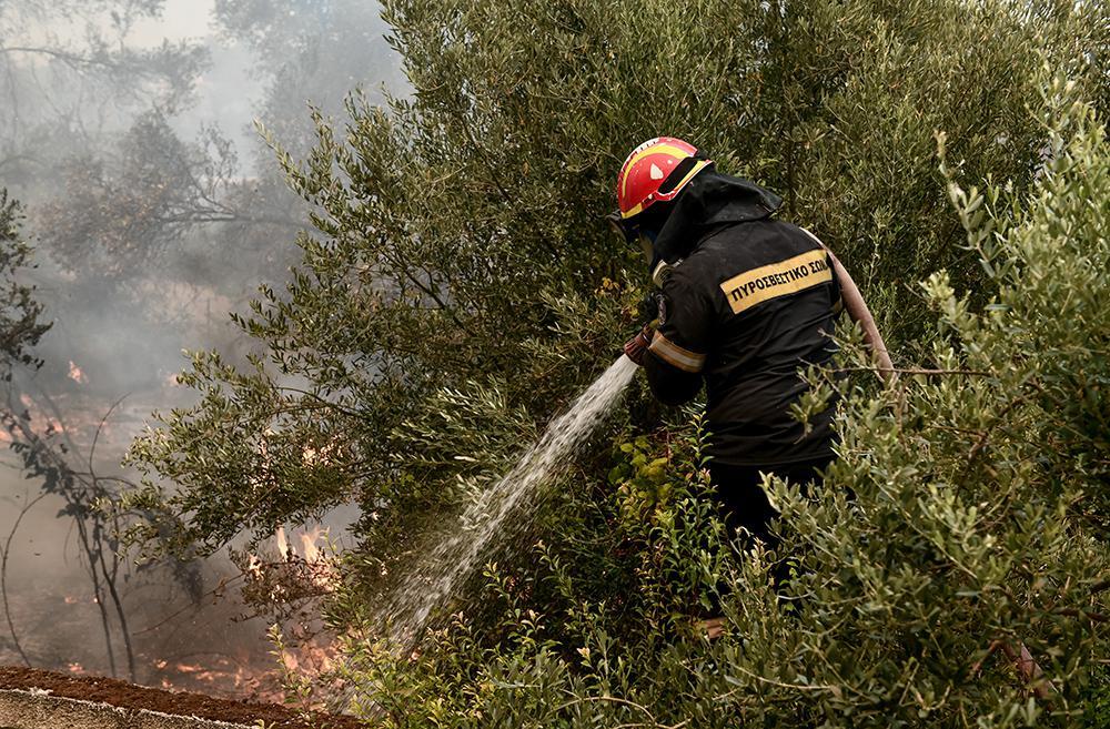 Εύβοια: Νέα φωτιά στα Μεσοχώρια Καρύστου – Ισχυροί άνεμοι