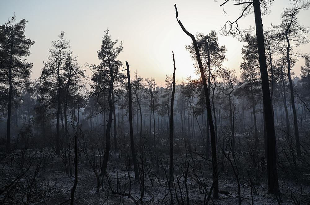 υπουργείο Περιβάλλοντος
