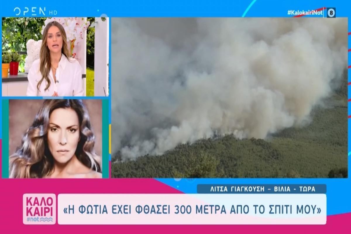 Ώρες αγωνίας για τη Λίτσα Γιαγκούση: Η φωτιά είναι στα 500 μέτρα από το σπίτι μου – Έχω όλα τα πράγματα έτοιμα για να φύγω [βίντεο]