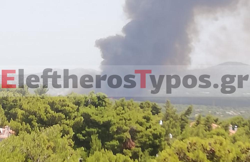 Φωτιά στη Βαρυμπόμπη: Σε εξέλιξη το πύρινο μέτωπο