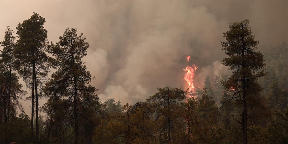 Η θέση του «Ε.Τ.»: Να αποδοθούν οι ευθύνες