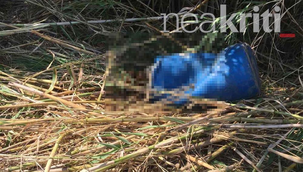 Πτώμα σε βαρέλι στο Ρέθυμνο: Συγκλονιστική τροπή στο θρίλερ - Πρωτοφανής υπόθεση σε παγκόσμιο επίπεδο