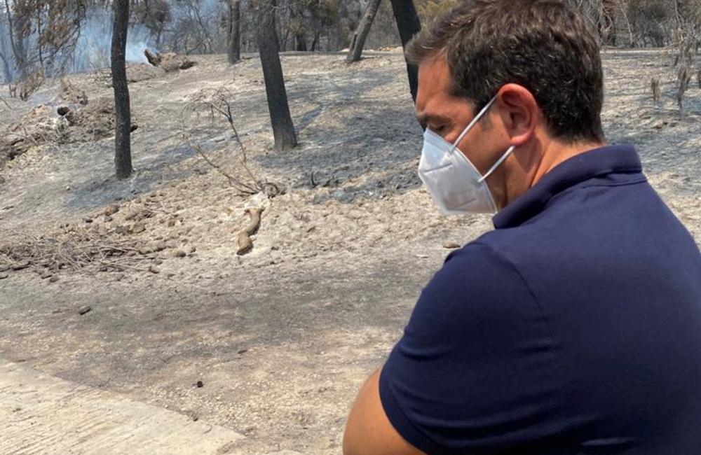 Οι πυρκαγιές «έκαψαν» και τον ΣΥΡΙΖΑ