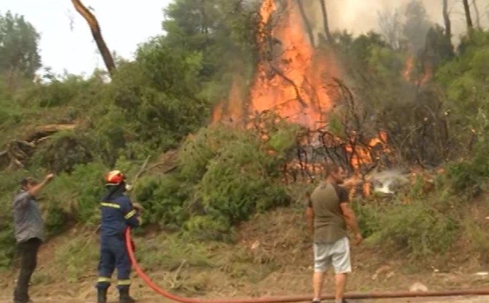 Φωτιά στην Εύβοια: Μεγάλη αναζωπύρωση στη Σκεπαστή - Σε πύρινη «πολιορκία» η περιοχή