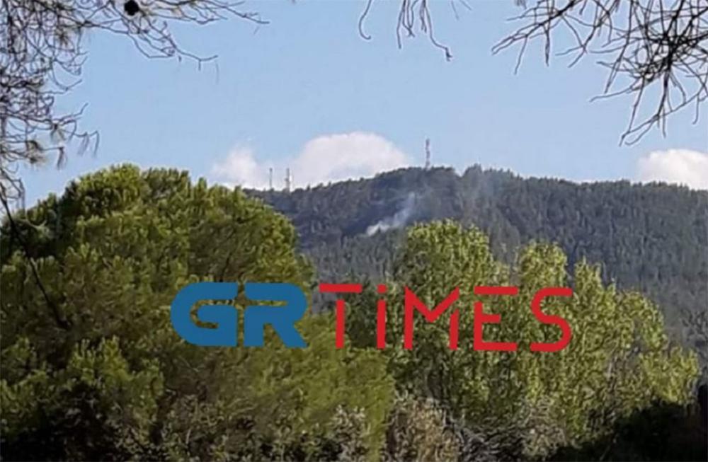 Φωτιά σε δασική έκταση στη Βουρβουρού Χαλκιδικής [βίντεο]